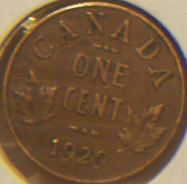 1929-Canadian-Cent-US-Roll-Find